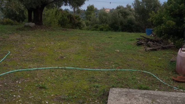 εικόνα_Viber_2026-05-04_11-56-00-481