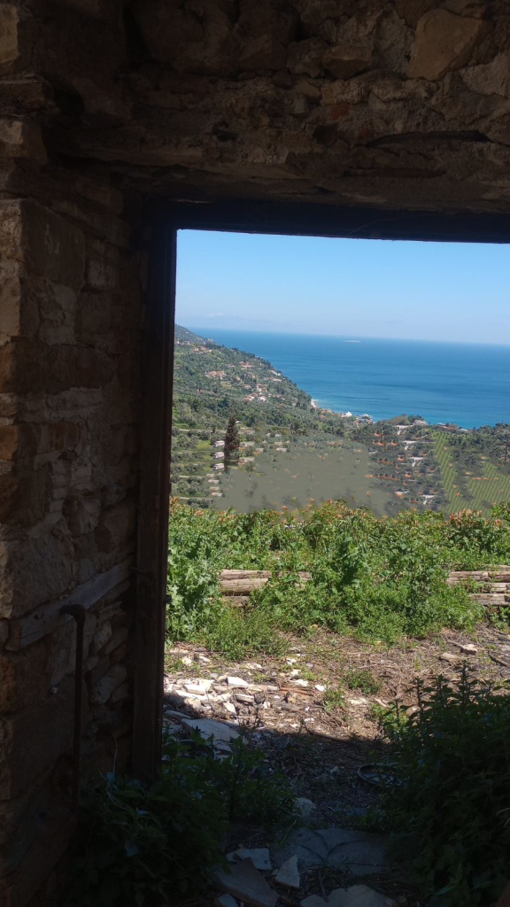 εικόνα_Viber_2026-05-04_12-11-20-140