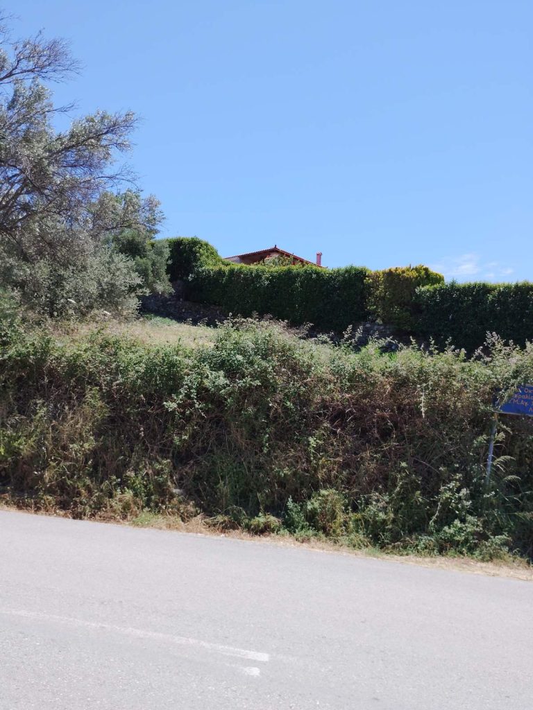oikopedo_avlonari_1