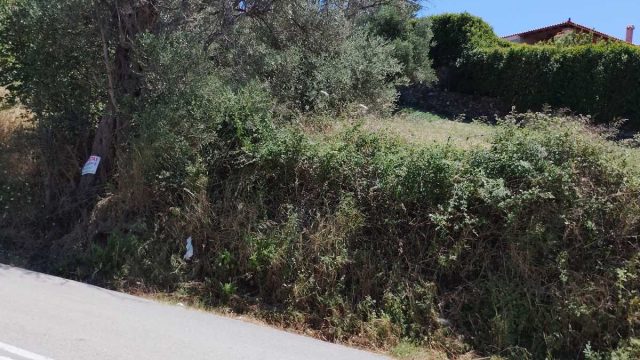 oikopedo_avlonari_2