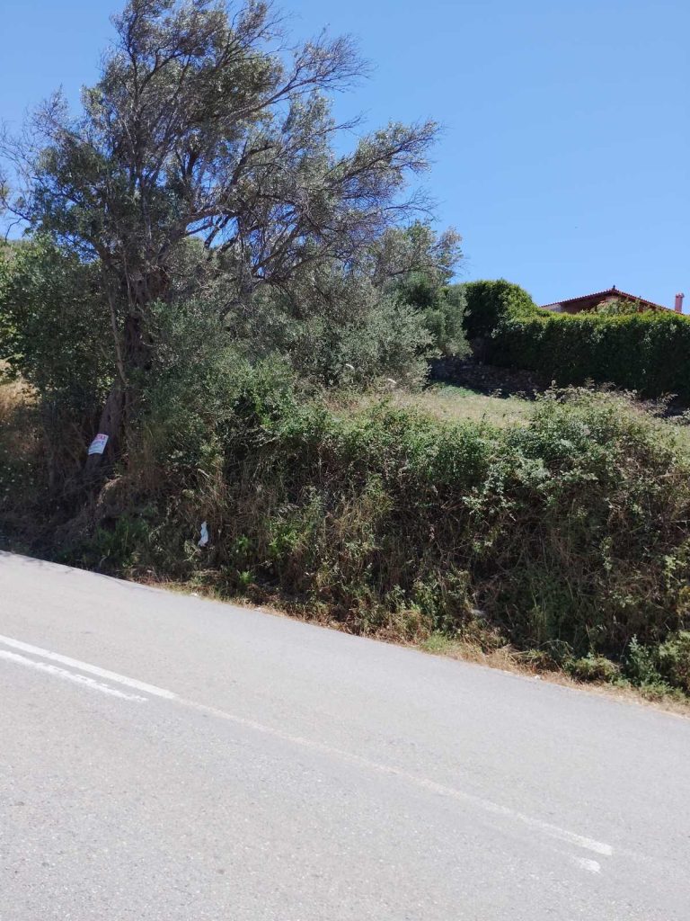 oikopedo_avlonari_2