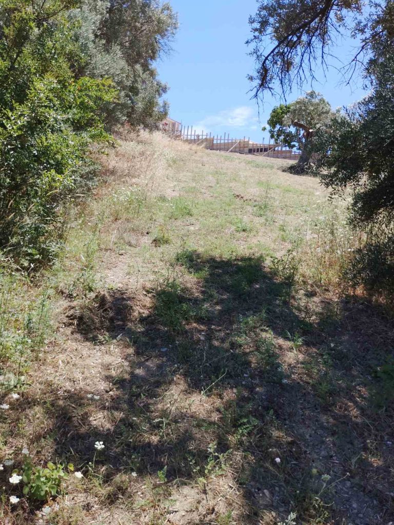 oikopedo_avlonari_3