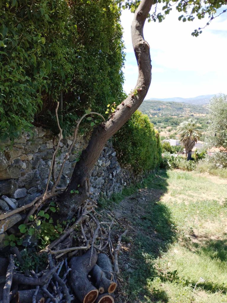 oikopedo_avlonari_4