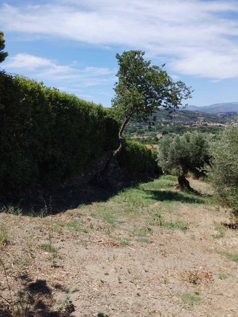 oikopedo_avlonari_5